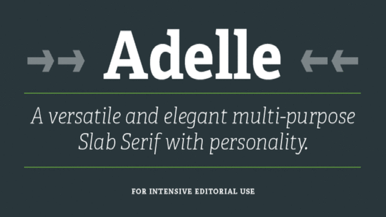 Type Of The Adelle Font (Font Family)