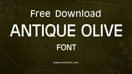 Antique Olive Font Family Overview