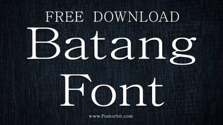 Batang Font Free Download