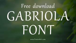 Gabriola Font Free Download