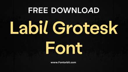 Labil Grotesk Font Free Download