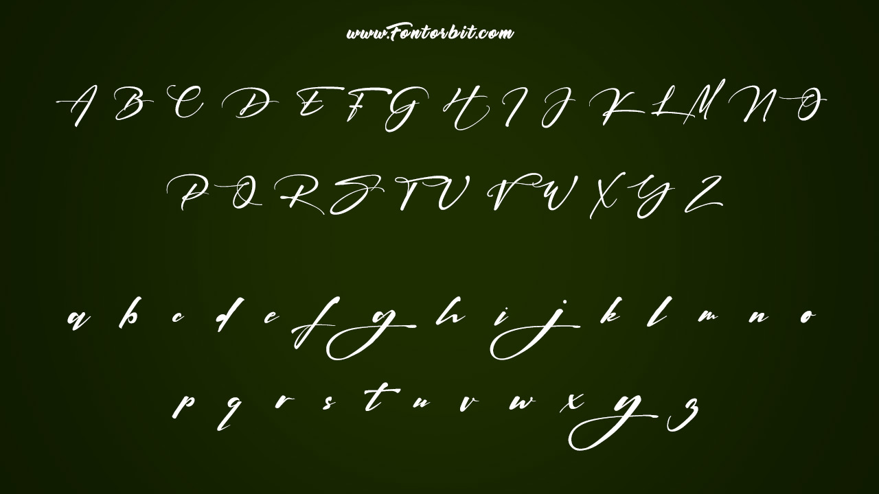 The Signatrue Elegant Signature Font Family Includes