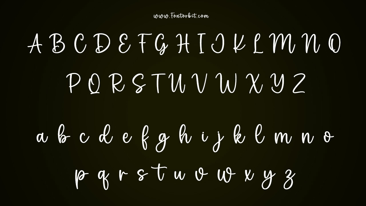 The Willow Font Family