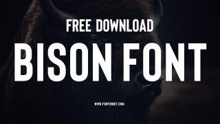 Bison Font Free Download