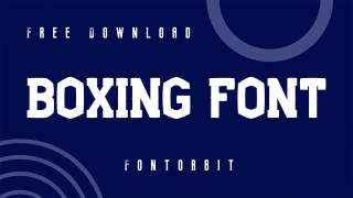 Level Up Your Logo With Boxing Font