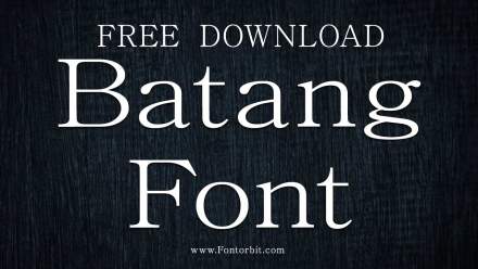 Batang Font: A Traditional Yet Modern Typeface