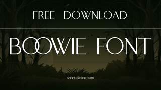Boowie Font: A Perfect Blend Of Style And Versatility