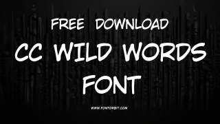 Explore The Unique CC Wild Words Font For Your Designs