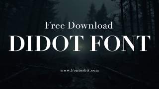 The Beauty Of Didot Font In Modern Design