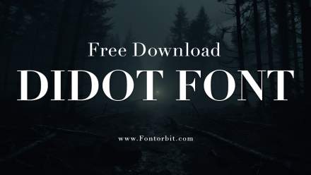 The Beauty Of Didot Font In Modern Design