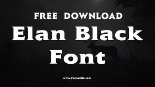 Unleash Creativity With Elan Black Font Style
