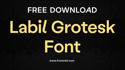 Labil Grotesk Font: A Clean And Contemporary Typeface
