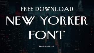 Use New Yorker Font for Stunning Designs