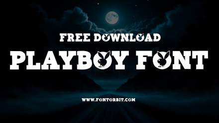 Get Creative With Playboy Font For Modern Designs