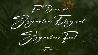 Sophisticated Signatrue Elegant Signature Font For Your Brand