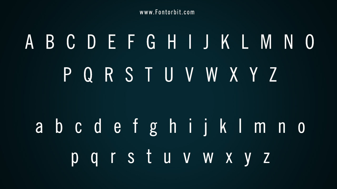 The News Gothic BT Font Family Includes