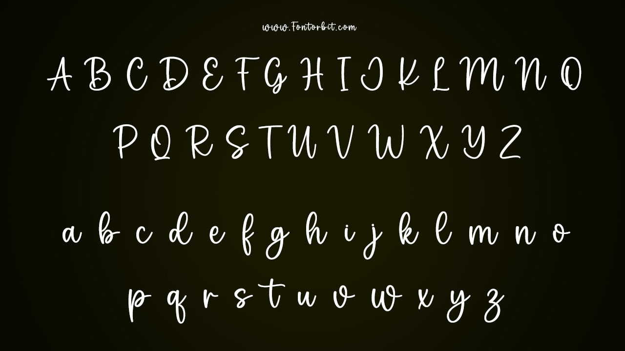 The Willow Font Family