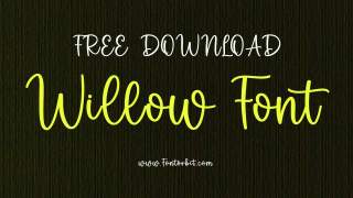 Willow Font: A Perfect Blend Of Style and Simplicity