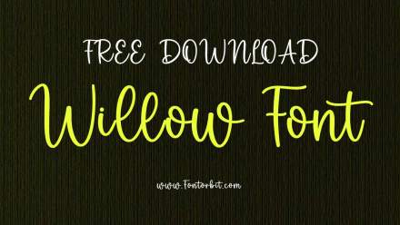 Willow Font: A Perfect Blend Of Style and Simplicity