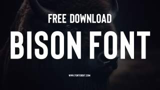 Bison Font: Perfect Choice For Bold Branding