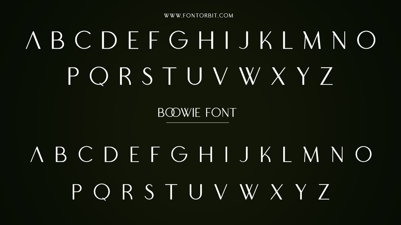 Boowie Font Family Includes