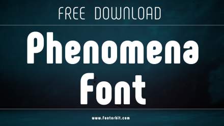 How Phenomena Font Transforms Your Designs