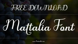 Mattalia Font: A Stylish Script Font For Every Project