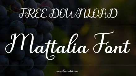 Mattalia Font: A Stylish Script Font For Every Project