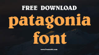 The Impact Of Patagonia Font On Modern Branding