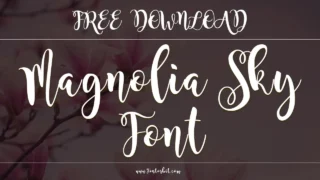 Magnolia Sky Font: Styling Tips For A Chic & Modern Look