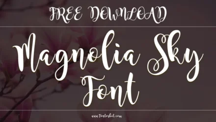 Magnolia Sky Font: Styling Tips For A Chic & Modern Look