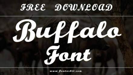 Buffalo Font: A Perfect Blend Of Style And Versatility