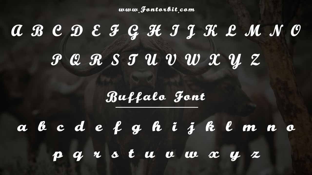Buffalo Font Styles And Character Map