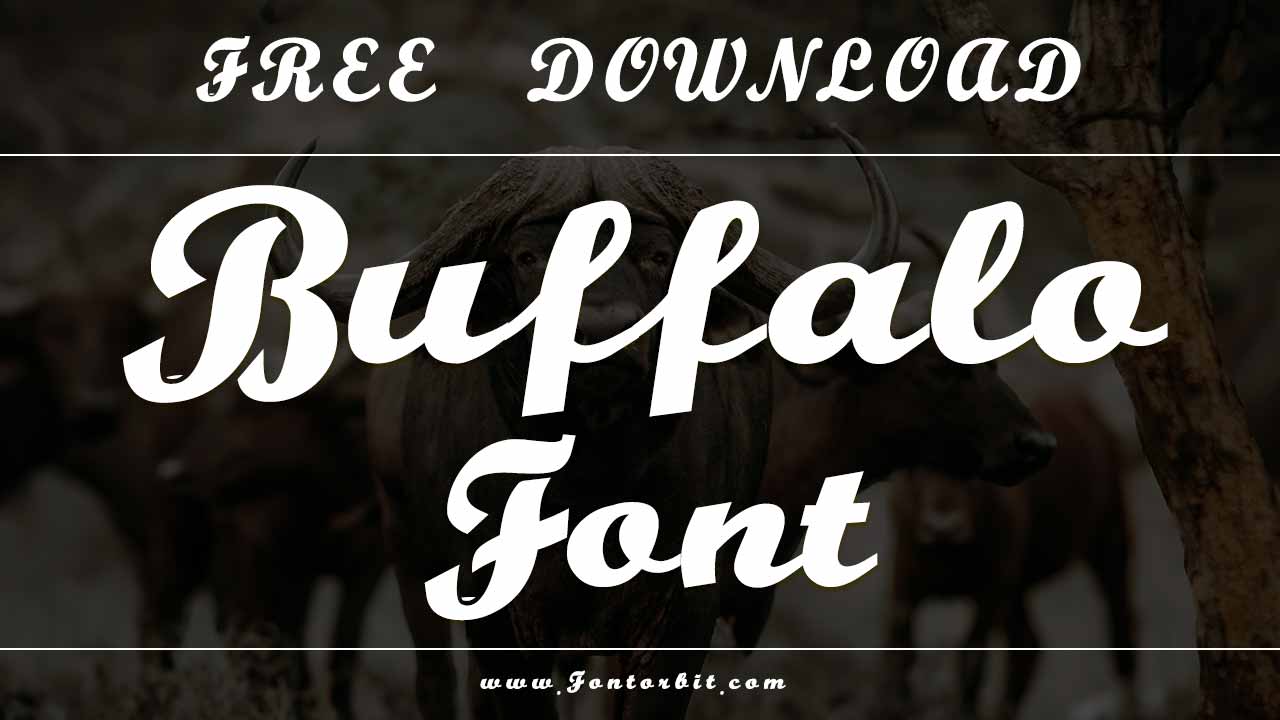 Buffalo Font