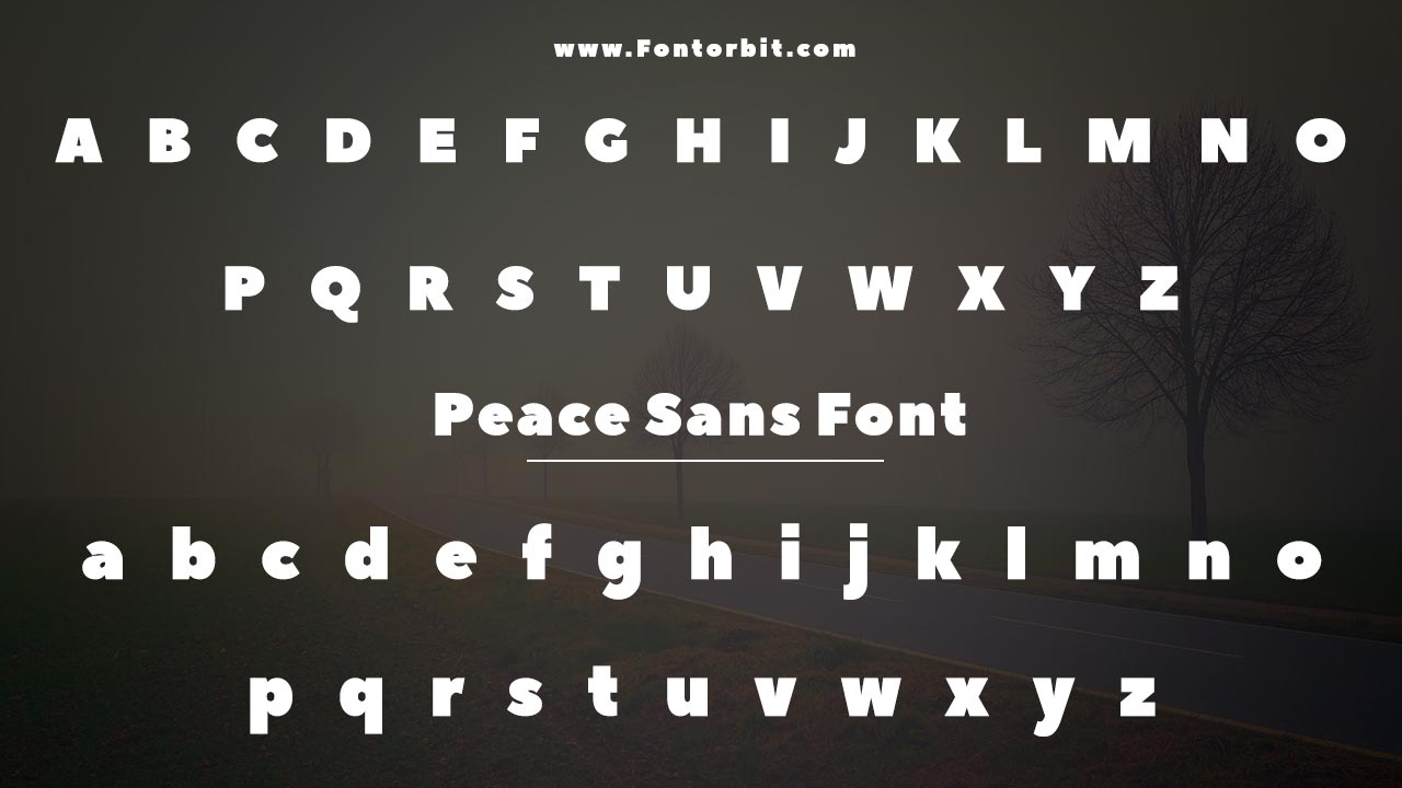 Font Family Information