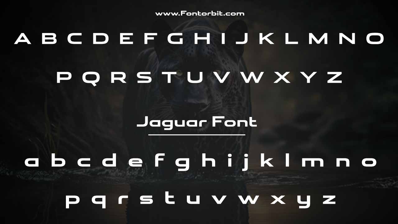 Jaguar Font Family Overview