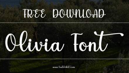 Create Stunning Projects With Olivia Font