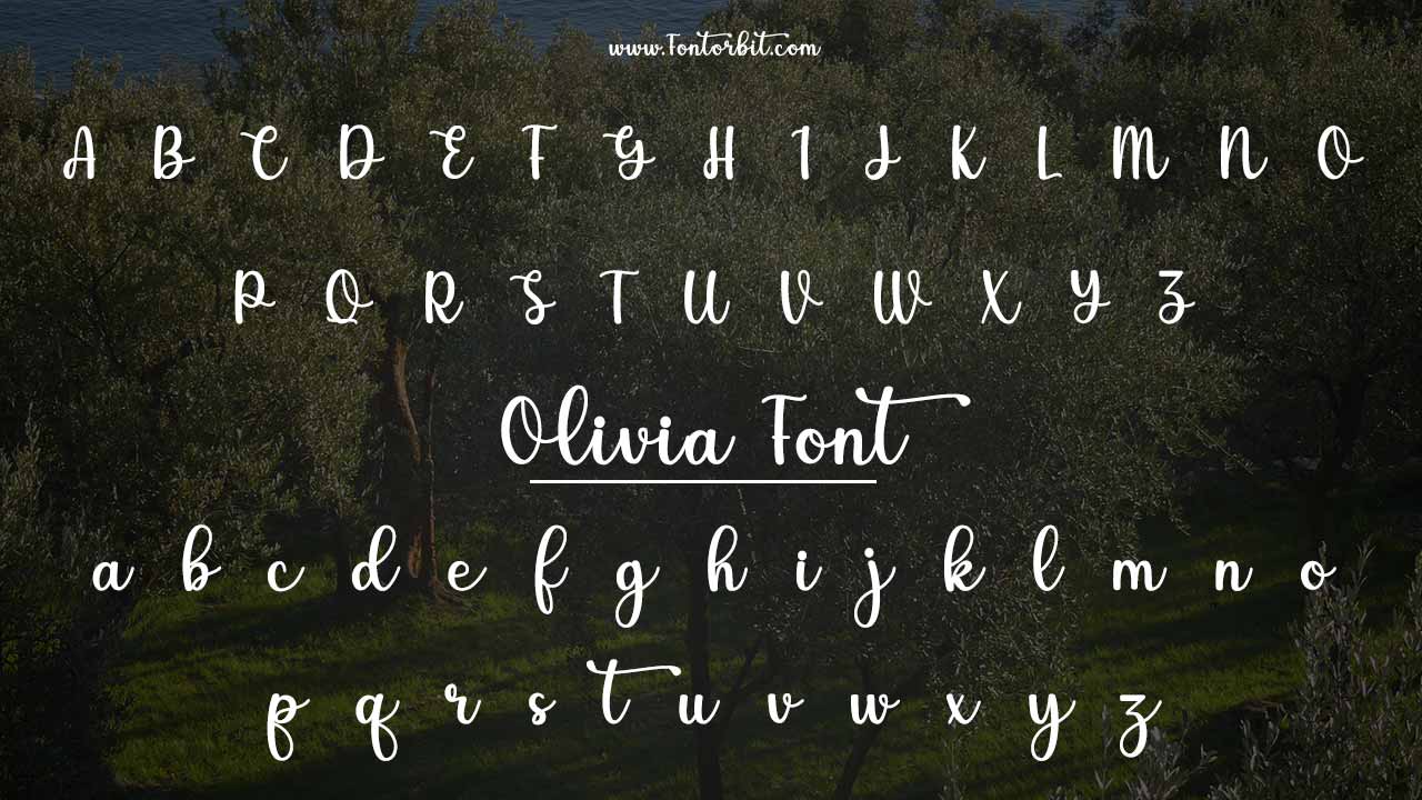 Olivia Font Family