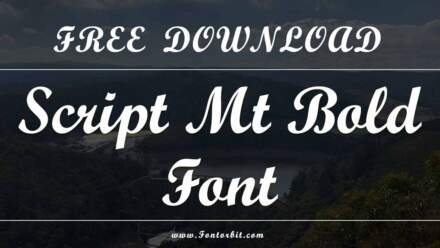 How To Use Script MT Bold Font Effectively