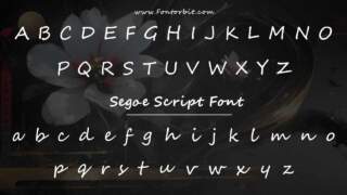 Segoe Script Font Guide: Elegant Uses & Design Tips!!!