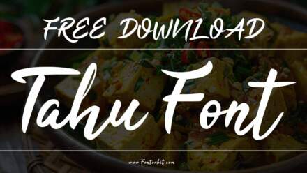 Tahu Font: A Stylish Script For Modern Design