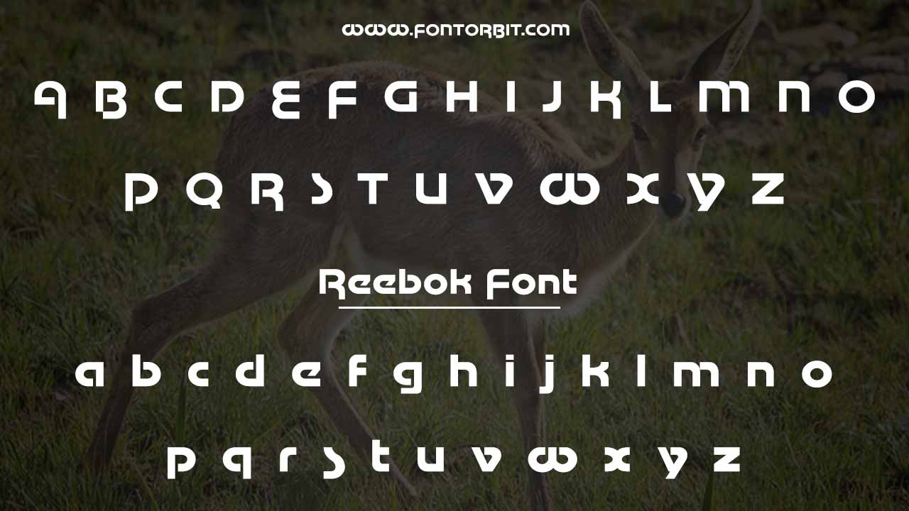 Types Of Reebok Font (Font Family)