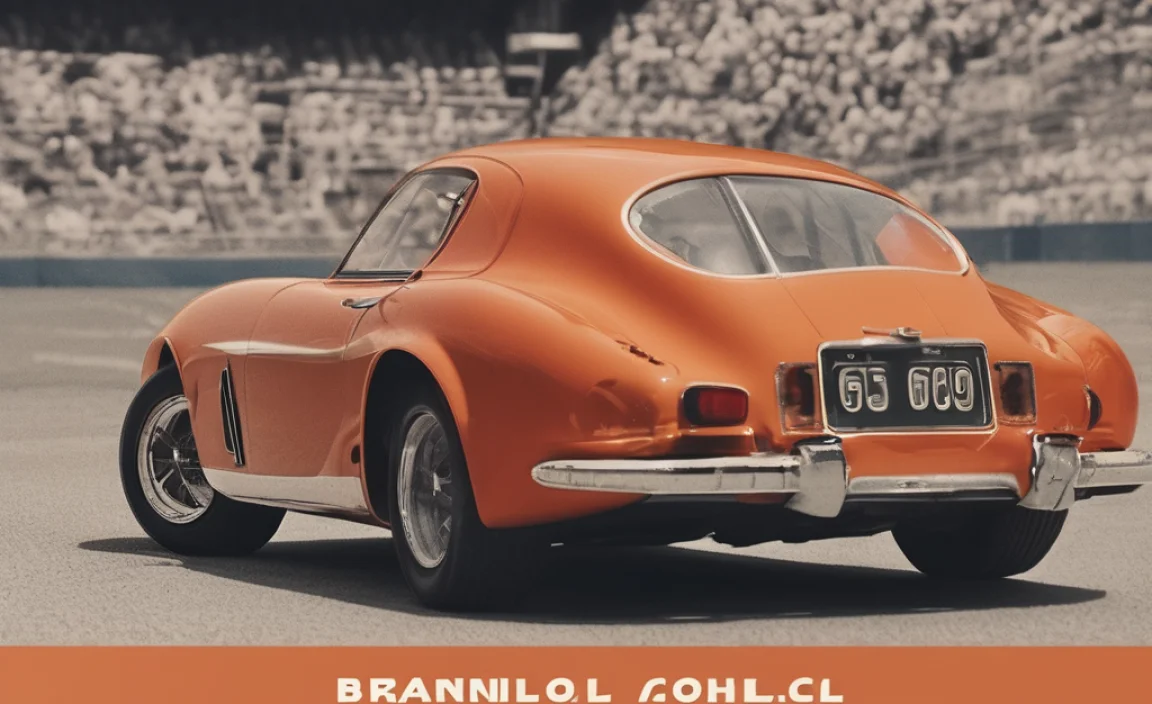 Where To Use Brannboll Font