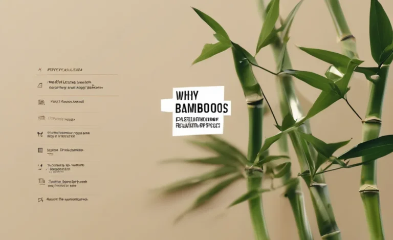 Why Bamboo Font Is Perfect For Creative Projects