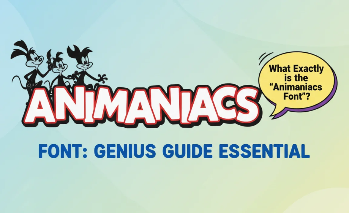 What Exactly is the “Animaniacs Font”?